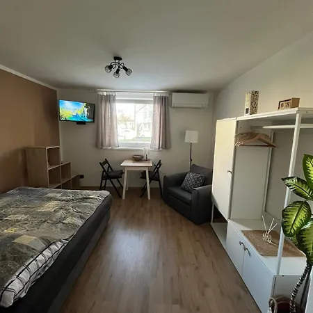Deteljica Apartment Kocevje
